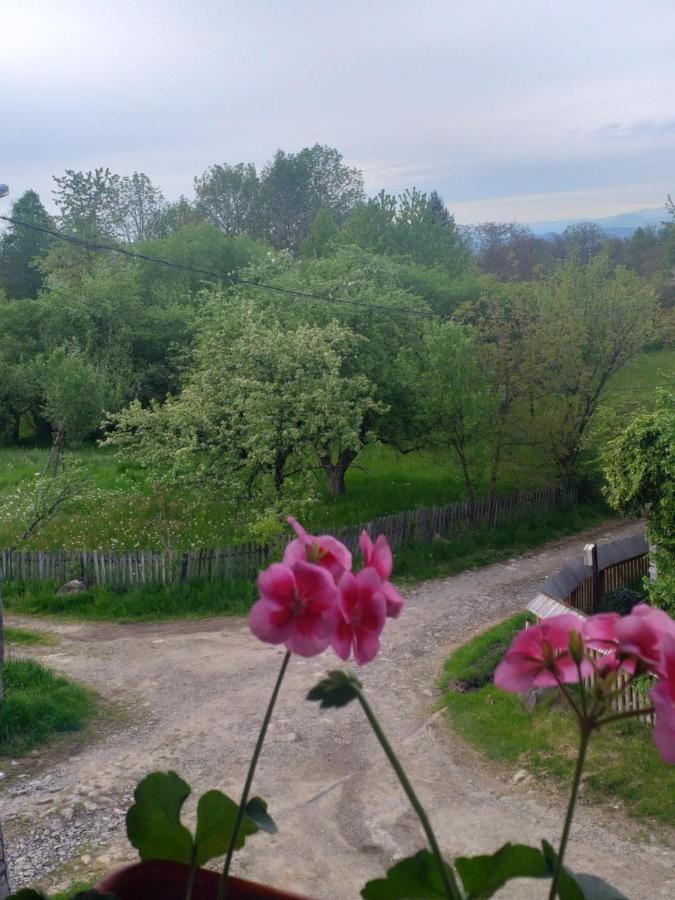 Pensjonat Casa Alina Breb Zewnętrze zdjęcie